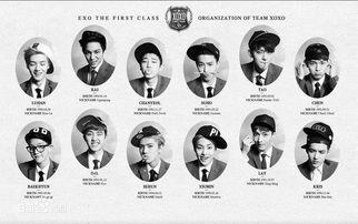 exo的资料及照片,星光璀璨的韩流天团，魅力四溢的青春风采