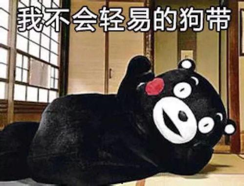 手绘熊本熊表情包,萌态可掬的治愈系萌宠