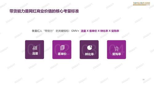 网红电商,流量变现新风口，揭秘网红带货背后的商业秘密