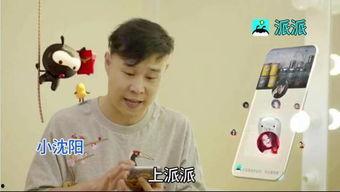 明星 派派,闪耀星途，魅力四溢的璀璨之星