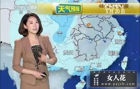 中央新闻气象女主播,传递温暖与科学的美丽声音